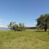 Ci ritroviamo cos� all�interno di un�area naturale...